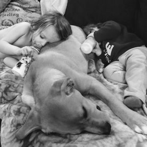 Meet your Posher, Holly jo